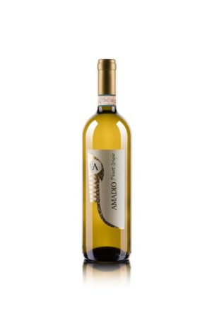 Pinot Grigio DOC | DOC delle Venezie | Vino bianco Fermo | Lison Pramaggiore DOC