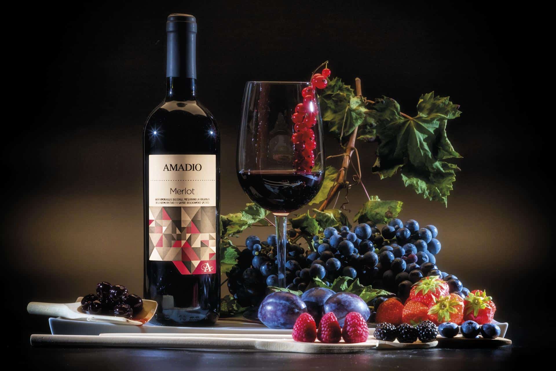 Merlot | Vino Rosso Fermo | IGT Veneto | Lison Pramaggiore DOC