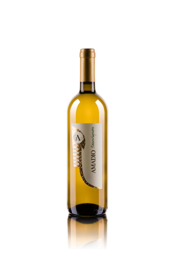 Sauvignon | IGT Trevenezie | Vino Bianco Fermo | Lison Pramaggiore DOC